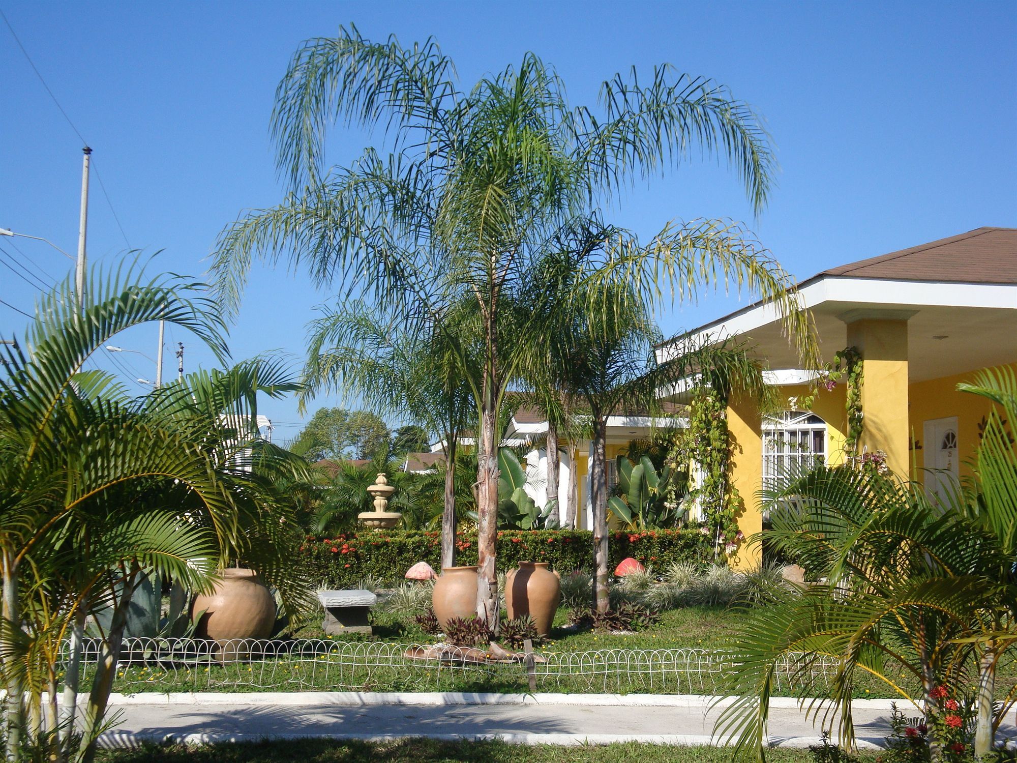 Hotel Palma Real Sambo Creek Extérieur photo